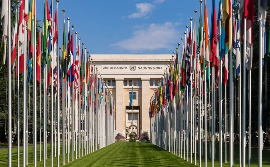 PIcture of United Nations Headquarter with multiple country flags visible in the foreground